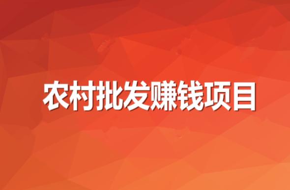 在农村批发做什么项目最赚钱？