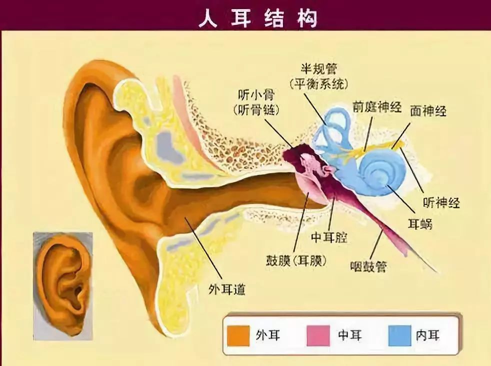 骨传导耳机为什么那么火？它的工作原理是啥？