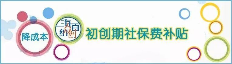 小白创业记 | 创业计划书撰写篇