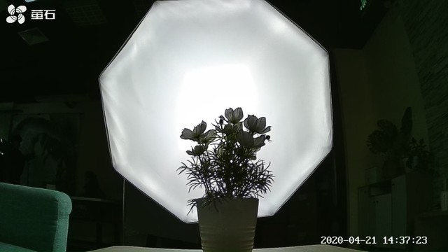 RxIz3c9DPgkjJX?from=pc