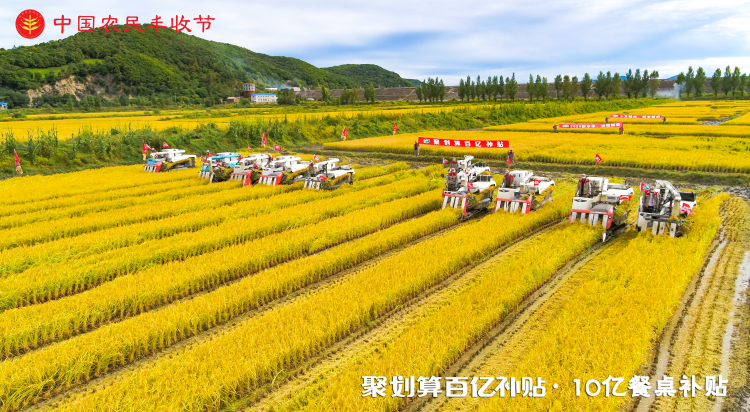 百亿补贴，被聚划算重新定义