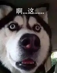 我用树莓派做了一个实时狗子探测器，还能向狗主人“表白”