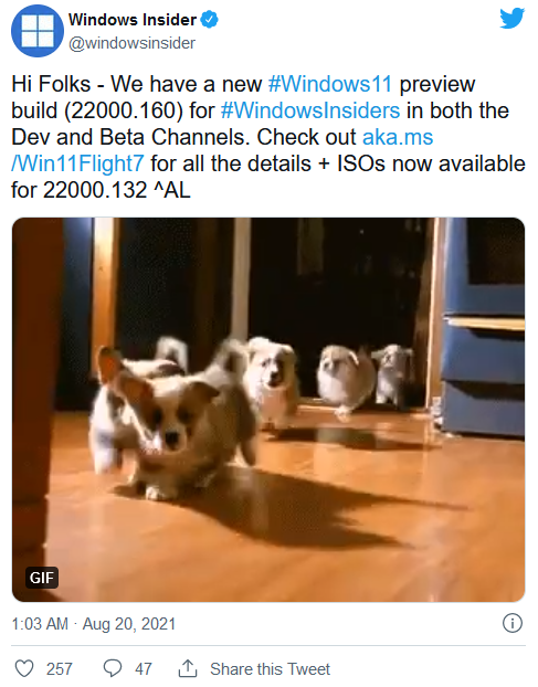 首个Windows 11 ISO镜像发布 现在可以清洁安装新系统了
