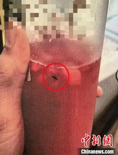 买奶茶后放入虫子敲诈9万余元 4人涉敲诈勒索罪被起诉