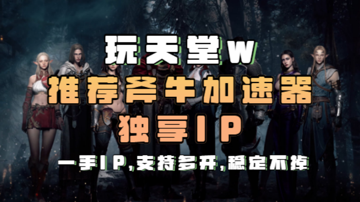 天堂w多开加速器推荐，斧牛专业为你加速
