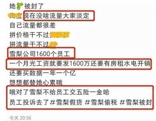 网红雪梨林珊珊社交账号被封怎么回事？雪梨林珊珊微博账号被封原因曝光