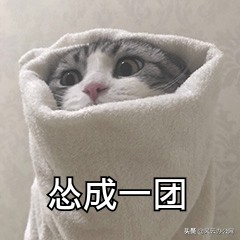 怎么才能将M4A转换为MP3？秘籍公开