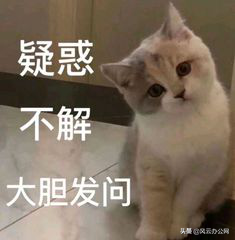 在手机上图片如何修改尺寸？学会这招，轻松修改图片尺寸
