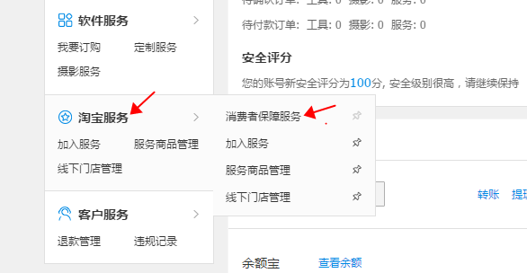加入保证金保险，30元开启淘宝C店