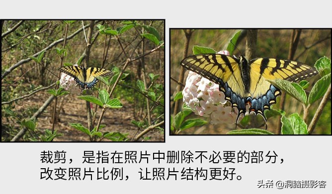 一个简单的裁剪工具，就能让你的照片大大改善视觉效果