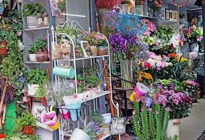 他坚守小店10年，卖花卉年赚20万