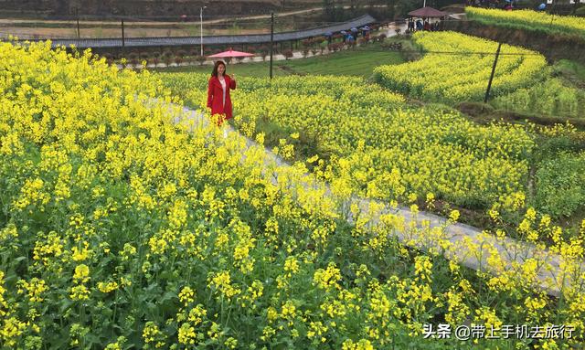 手机摄影如何用好最经典最常用最有效的构图法——九宫格