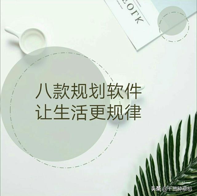 八款规划软件，让生活更规律