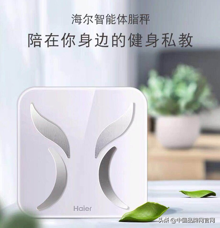 【十大品牌】体脂秤什么牌子的好?2020年体脂秤这样选