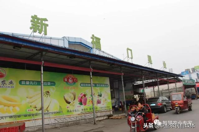 水果批发商赚钱吗？