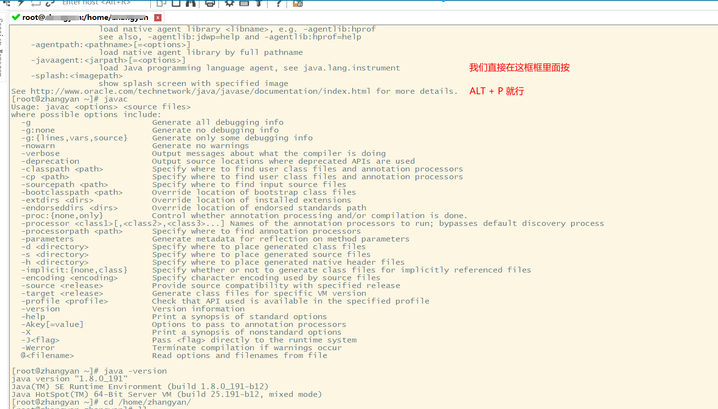 Linux中安装 jdk 和 tomcat（全网最详细）
