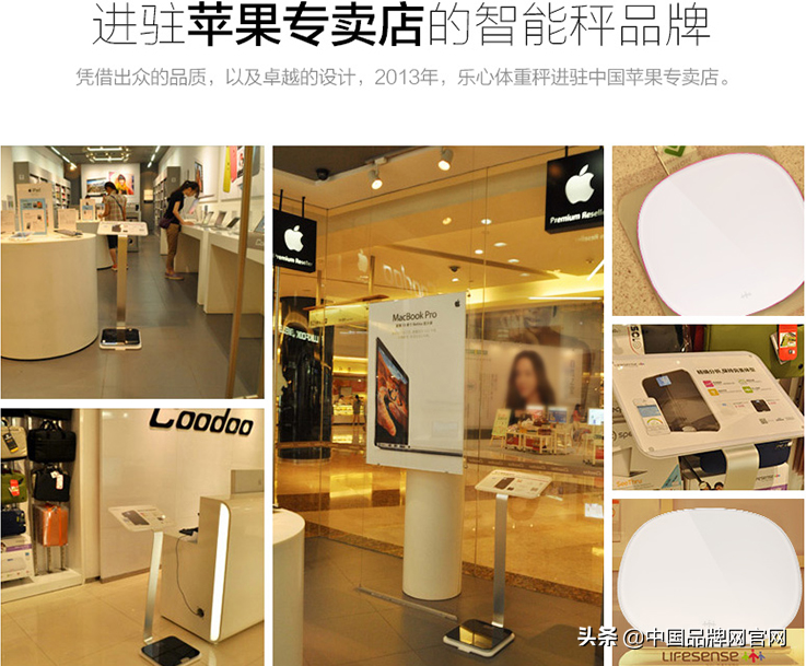 【十大品牌】体脂秤什么牌子的好?2020年体脂秤这样选