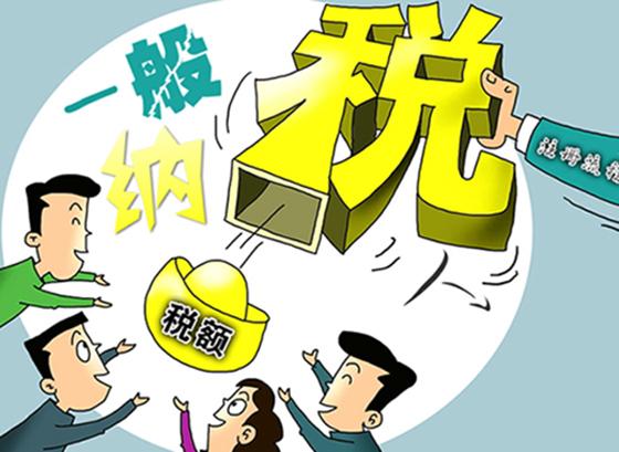 一般纳税人有哪些税率以及税率适用的范围