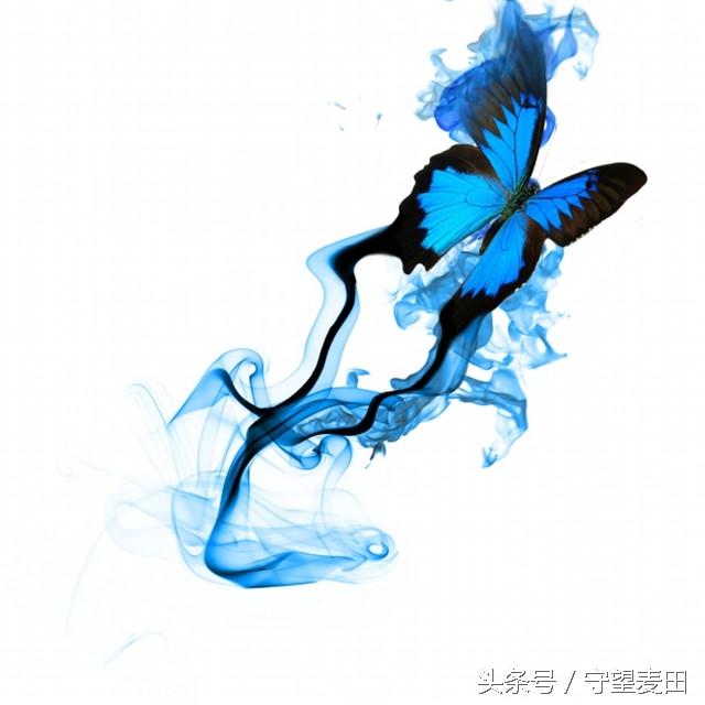 春梦了无痕