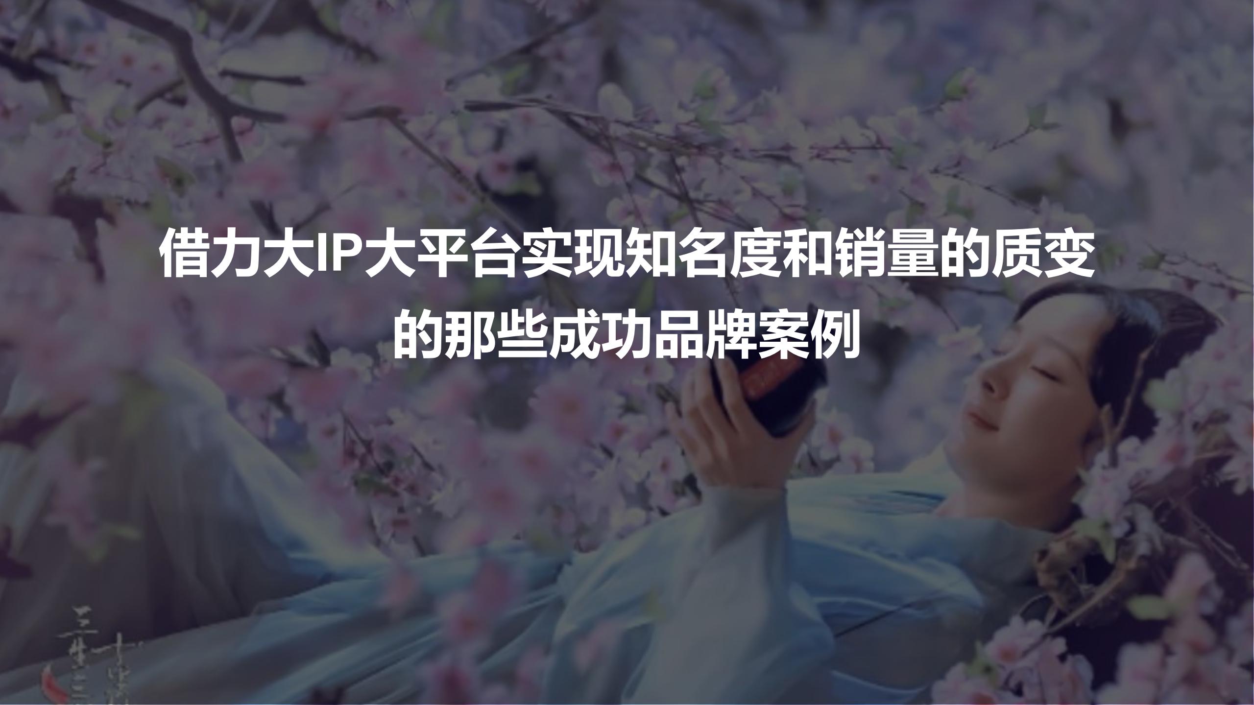 年度产品整合营销方案，策划年度整合营销方案附真实案例-72P