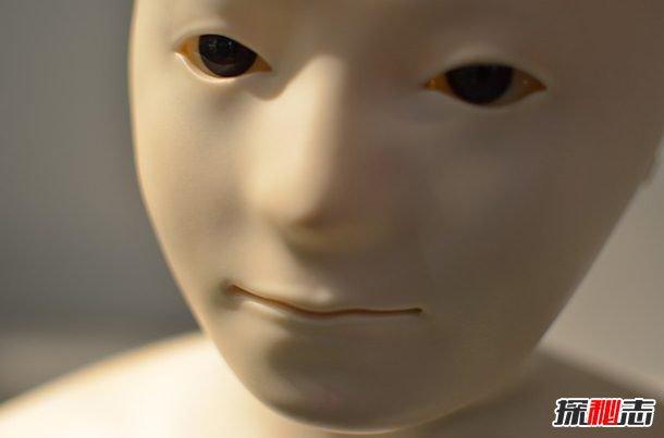 机器人有什么用？关于未来机器人的十大功能