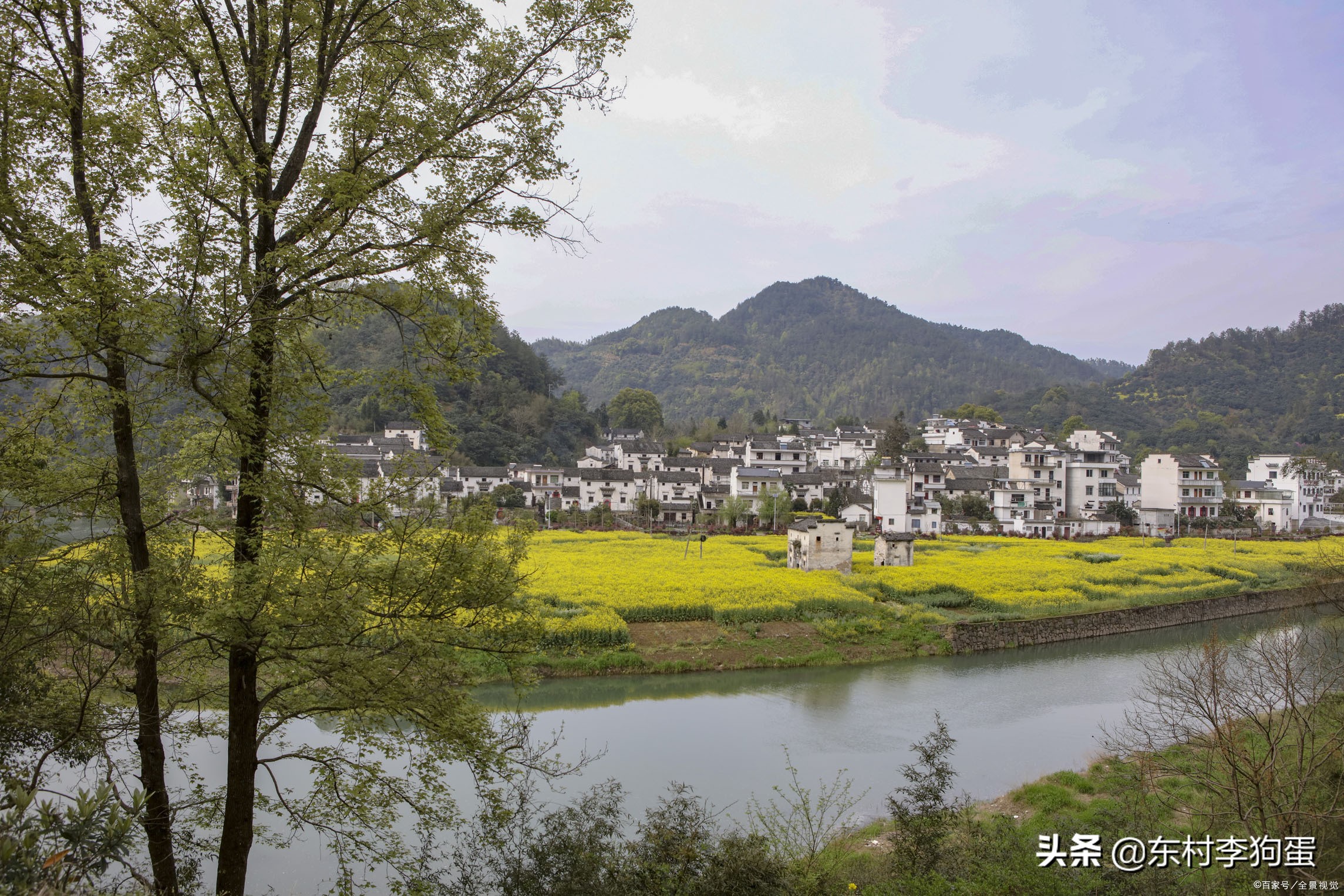农村10个赚钱的养殖项目，销路不是问题