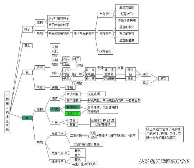 初中生物知识点梳理——思维导图，清晰得不要不要的！