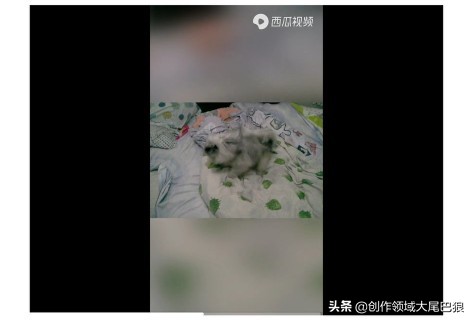 浅谈手机录制视频如何利用U盘在电视机上播放