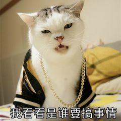 为什么微信总想要删除好友？原来这才是真相！网友：也太扎心了吧