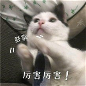 PPT大气开场动画怎么做？大神教你这3招，做出超炫效果