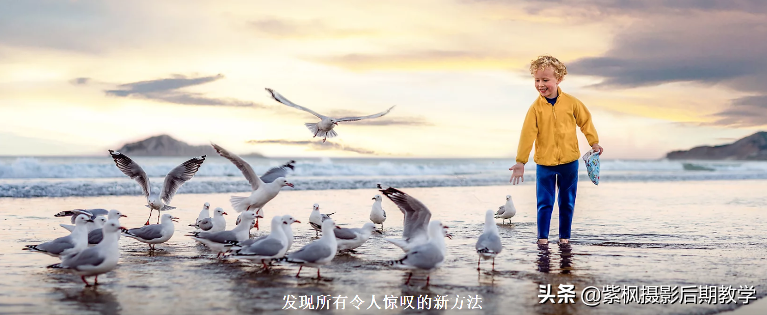 PS有摄影后期修图专用版本？Photoshop Elements 2021 全一键后期