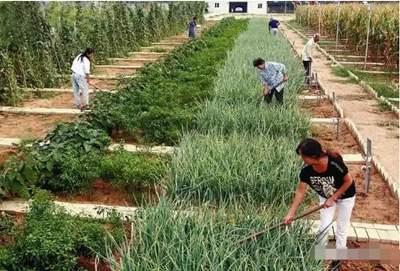 2020年必火的15个线下创业项目 最冷门最赚钱的生意点子