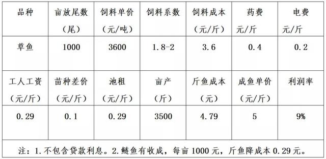 深度解析12种鱼类当前养殖利润，最赚钱的是这个品种