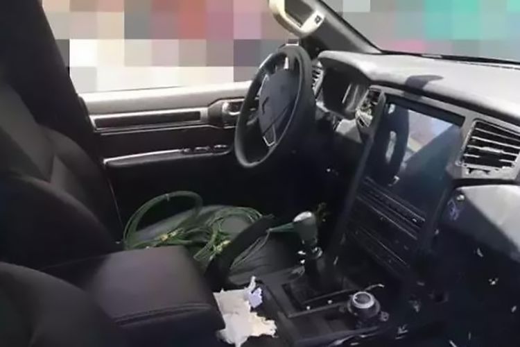 4.6L大V8只要20万，国产品牌也推大排量自吸车型