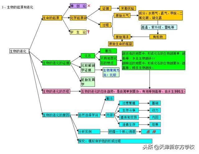 初中生物知识点梳理——思维导图，清晰得不要不要的！