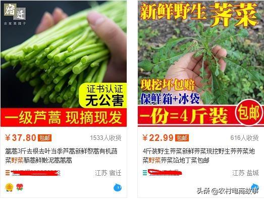 农村电商卖什么？网上卖野菜月入万元