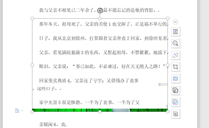 文字技巧—Word中图片显示不全怎么办