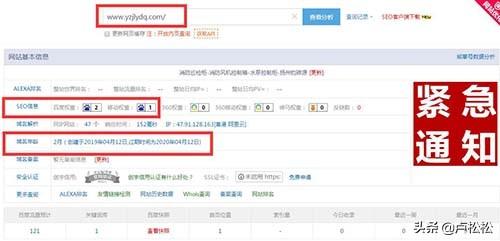 SEO快排实操流程经验分享