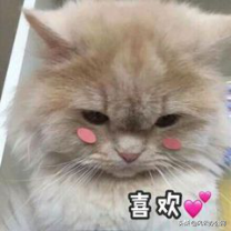 BMP图片怎么压缩？一看就会