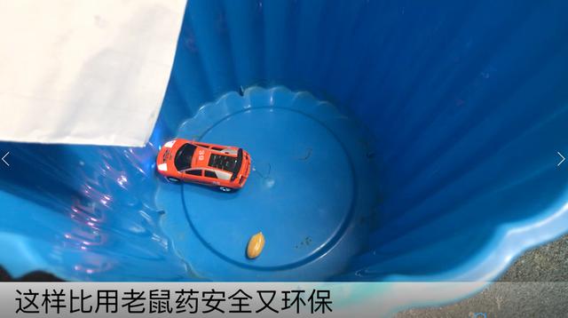 灭老鼠千万别用药，只需2张纸，抓光老鼠太简单，方法安全又健康