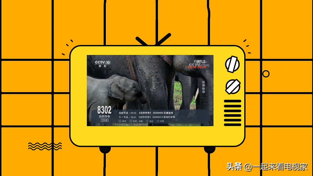 电视看央视直播应该这样做！好用的电视直播软件推荐