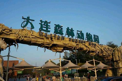大连必去的十大景点，你都去过吗？