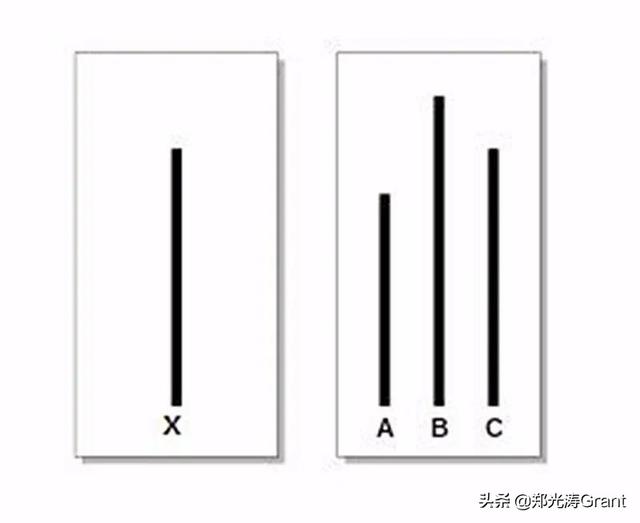 低成本高效率，市场调研应该这么做