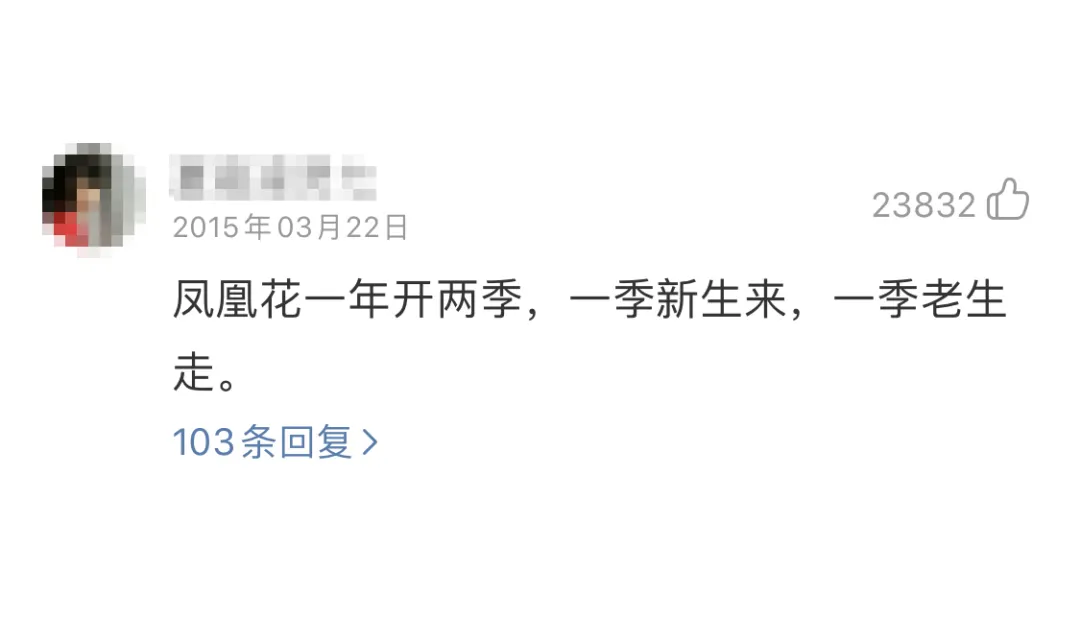 网易云音乐新功能，能撩到喜欢的人