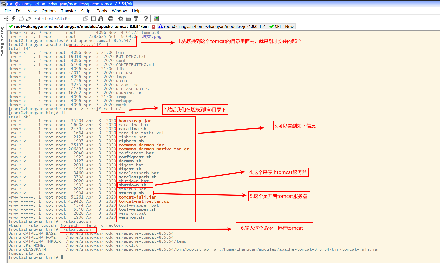 Linux中安装 jdk 和 tomcat（全网最详细）