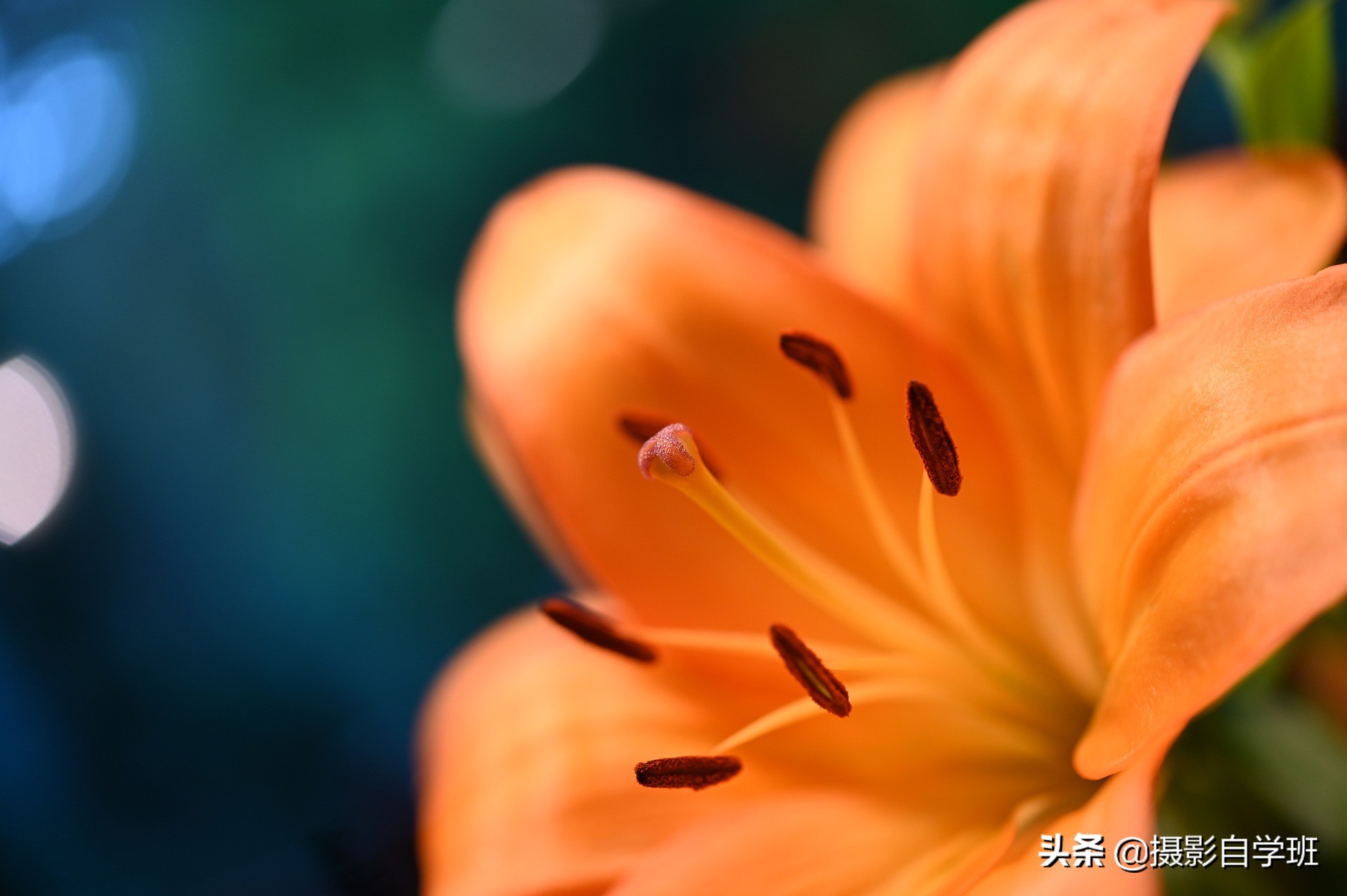 手机拍照片不清晰，怎么办？摄影师告诉你7大注意事项