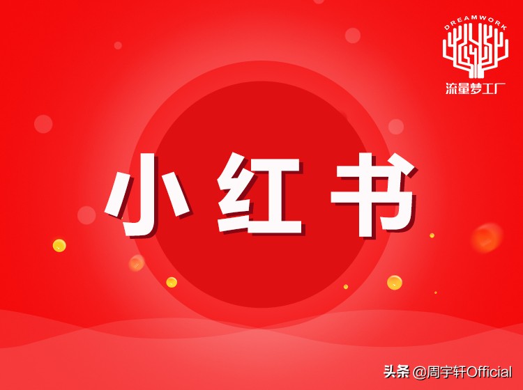 小红书平台用户分析······