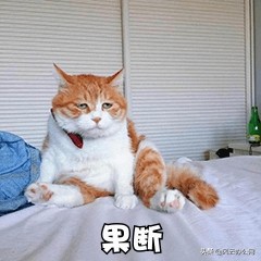 PDF文件怎么编辑？通过这几款软件，让你轻松编辑PDF