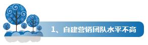 企业为什么纷纷将网络营销外包？