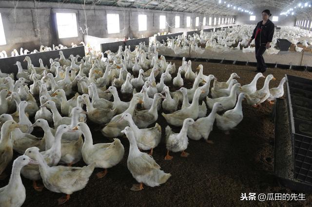 农民工返乡可以做什么？农民工返乡创业有哪些好项目？